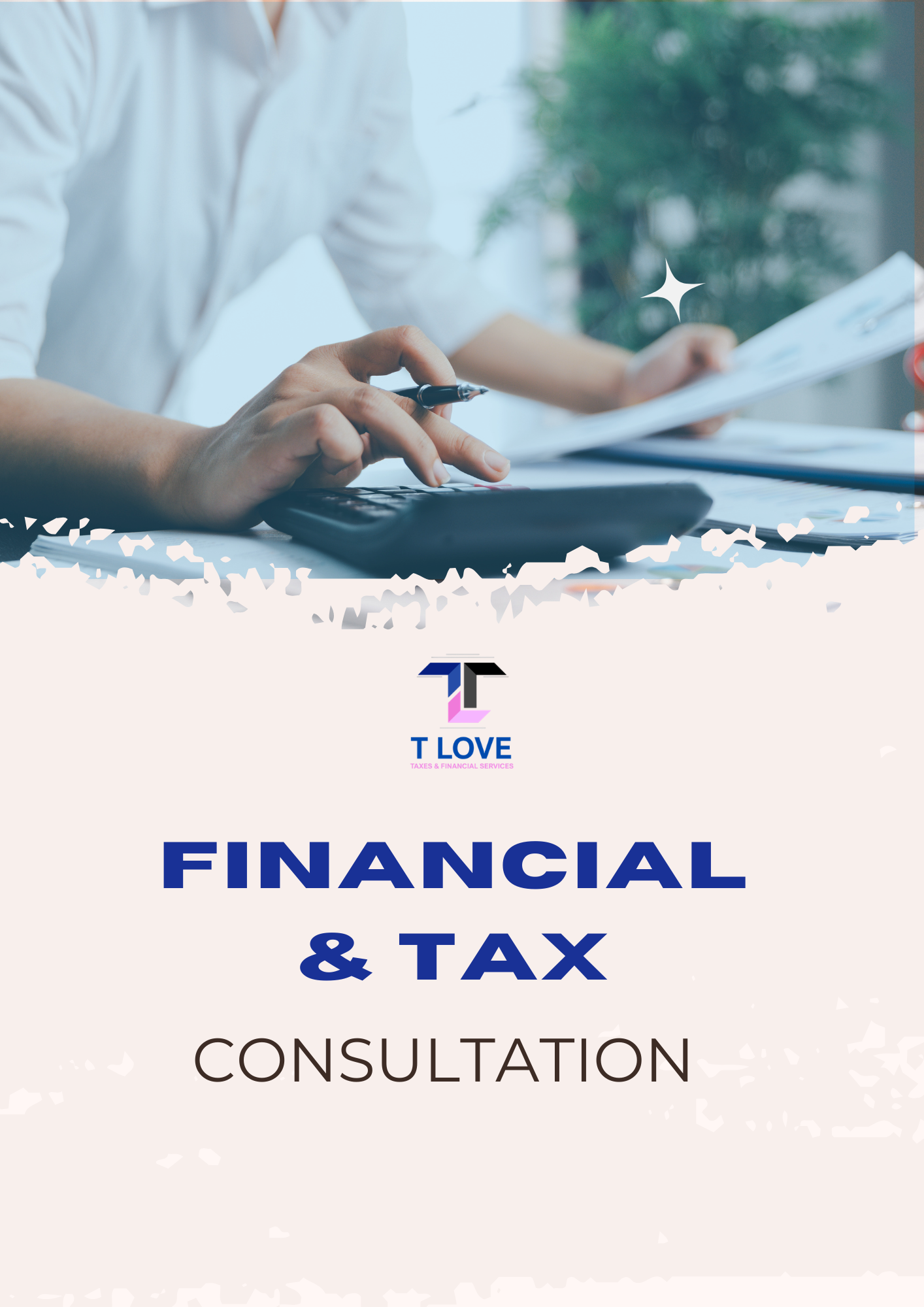 Financial and Tax Consultation