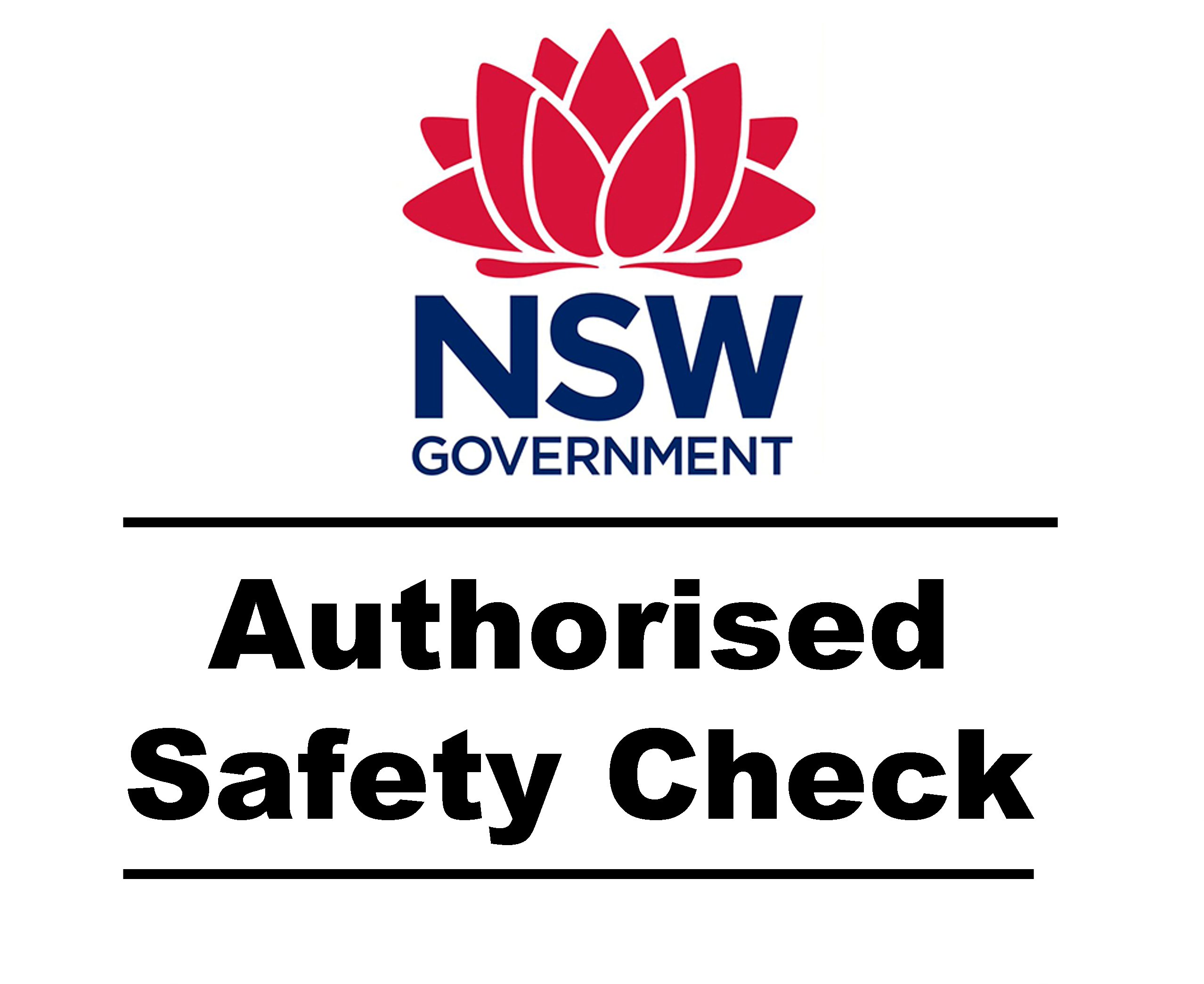 NSW eSafety check inspection being carried out at 313 Automotive workshop