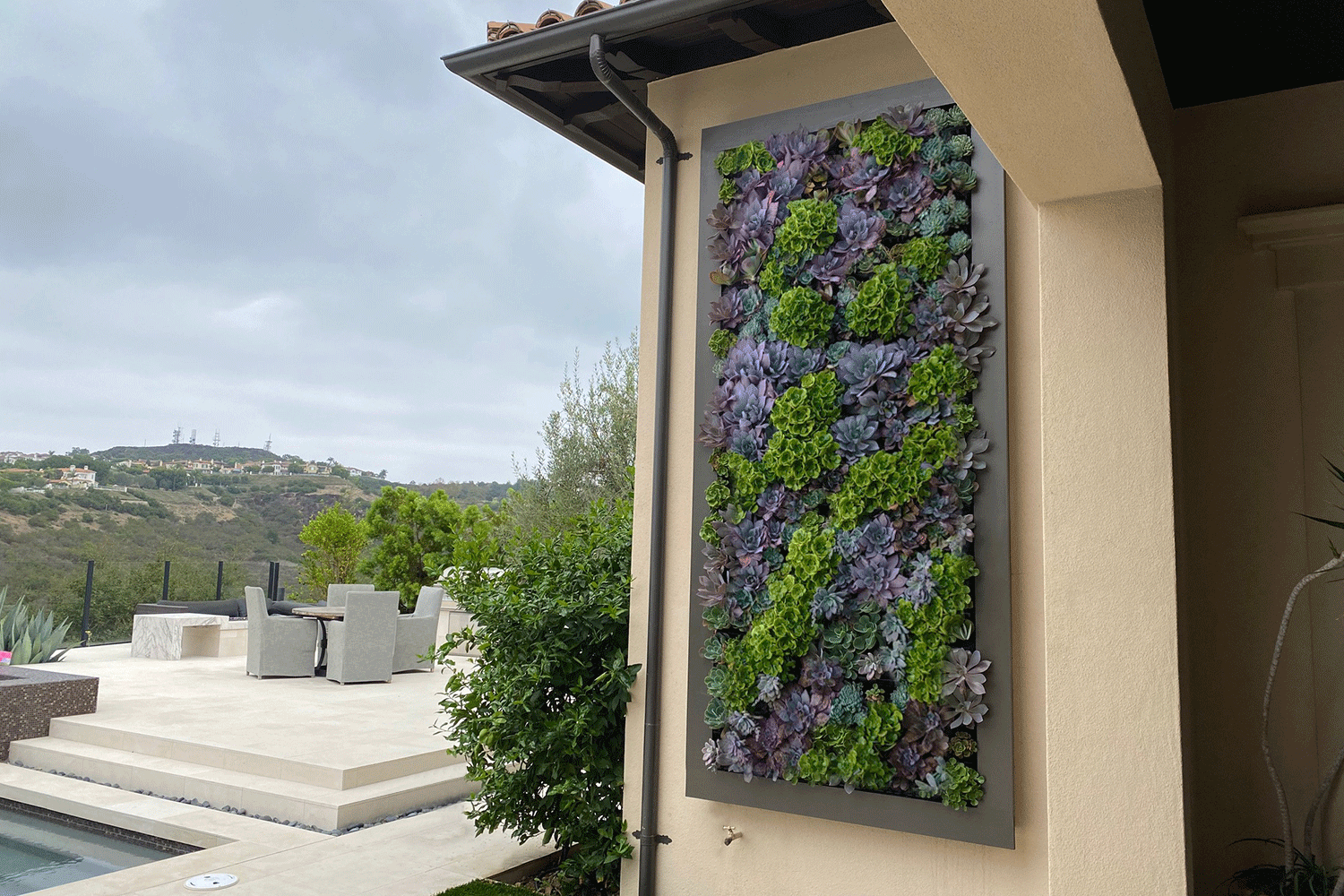 Hospitality outdoor living wall by Elevation Living Walls