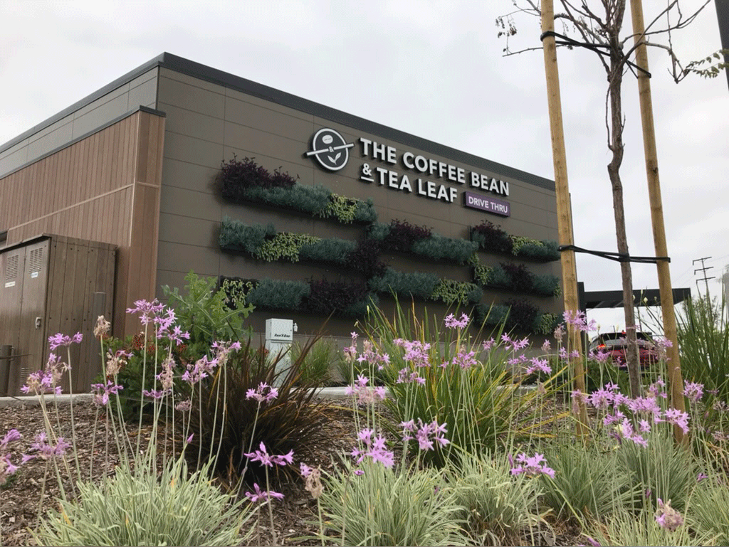 The Coffee Bean & Tea Leaf living wall facade with flowering street landscaping