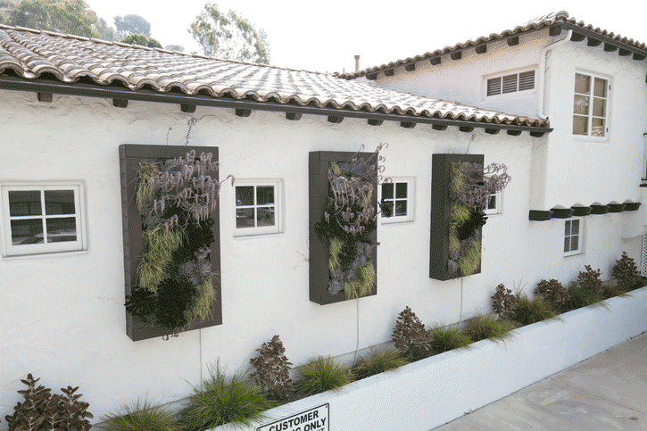 Outdoor living wall installation