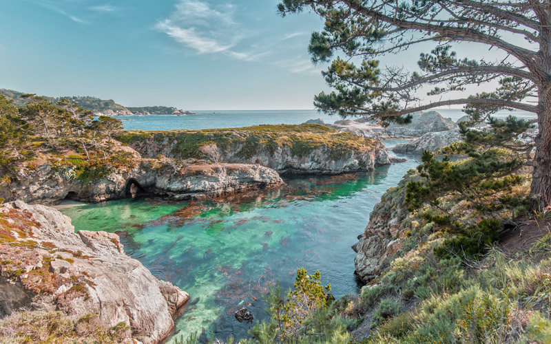 Point Lobos State Reserve Monterey