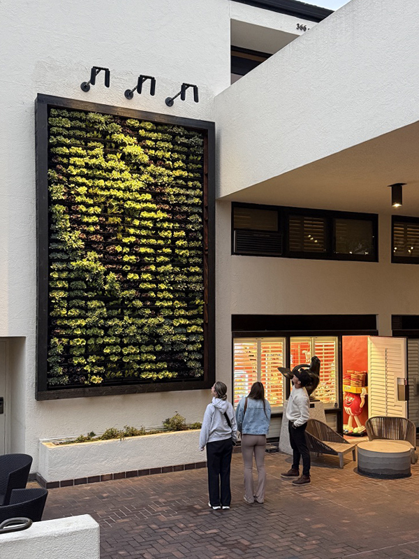 After — completed 155 sq ft living wall Portola Hotel and Spa Monterey biophilic design
