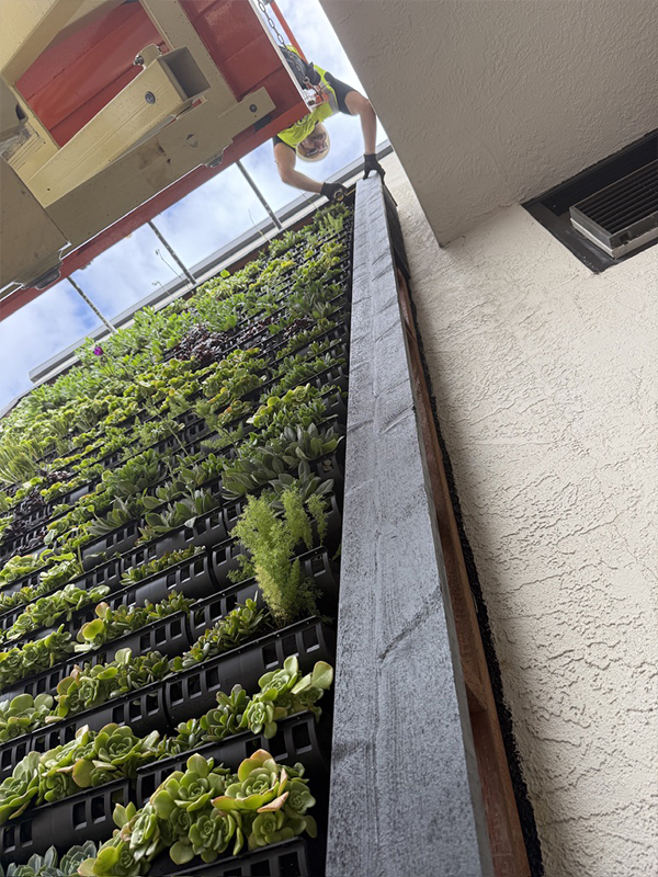 Plants — variety of plant species for biophilic hotel design vertical garden Portola Monterey