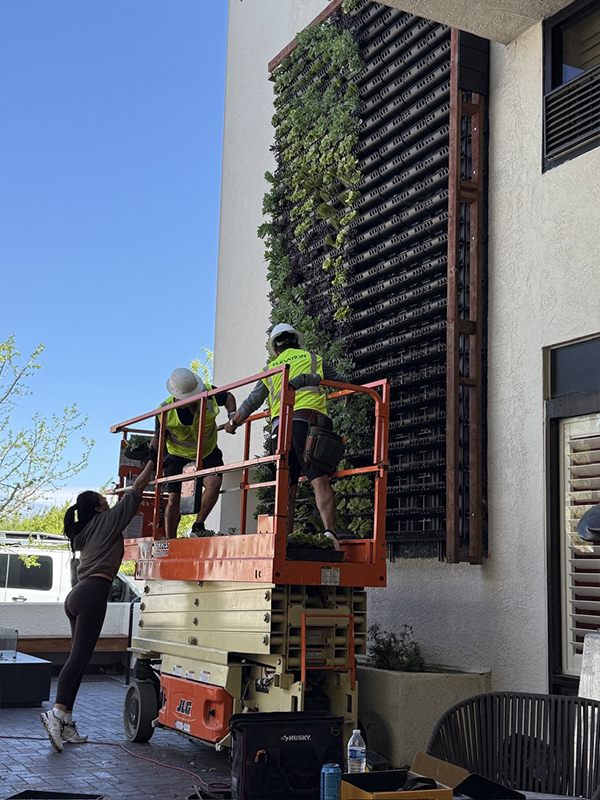 Plants — 783 curated plants for vertical garden Portola Hotel biophilic design Monterey