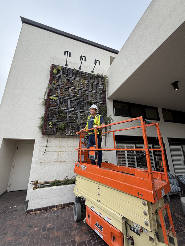 Demo — demolition of old living wall system Portola Hotel biophilic design redevelopment