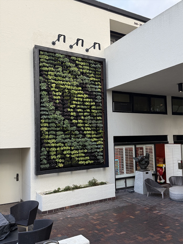 After — vertical garden at Portola Hotel Monterey Bay completed installation 155 sq ft 783 plants