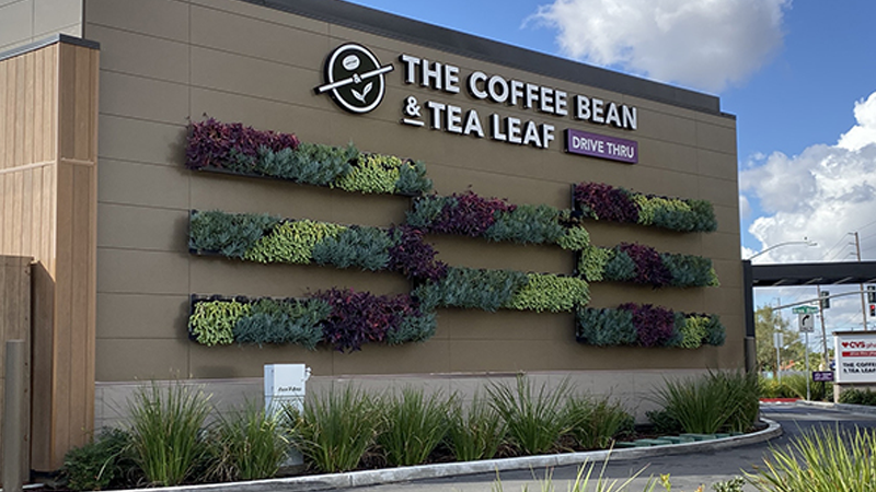 Commercial biophilic design project