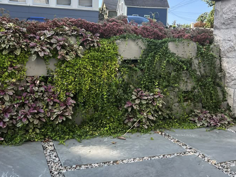 Living retaining wall project