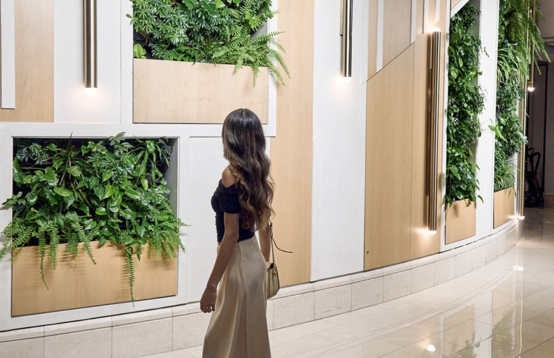 Hotel restaurant living wall by Elevation Living Walls