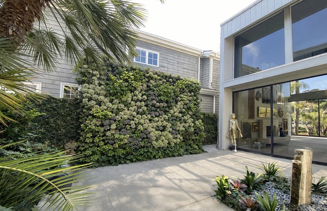 Luxury courtyard living wall by Elevation Living Walls