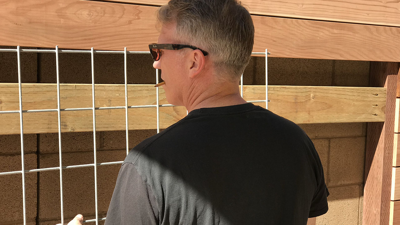 Living wall construction and installation detail