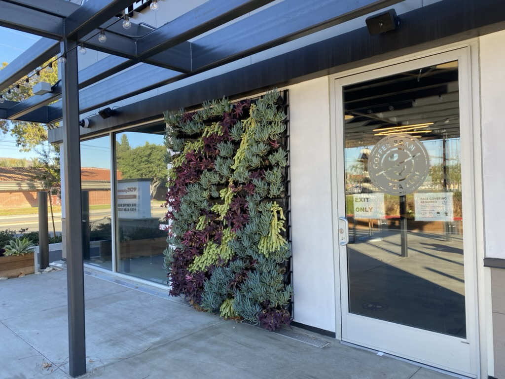 Coffee Bean and Tea Leaf hospitality living wall evening view