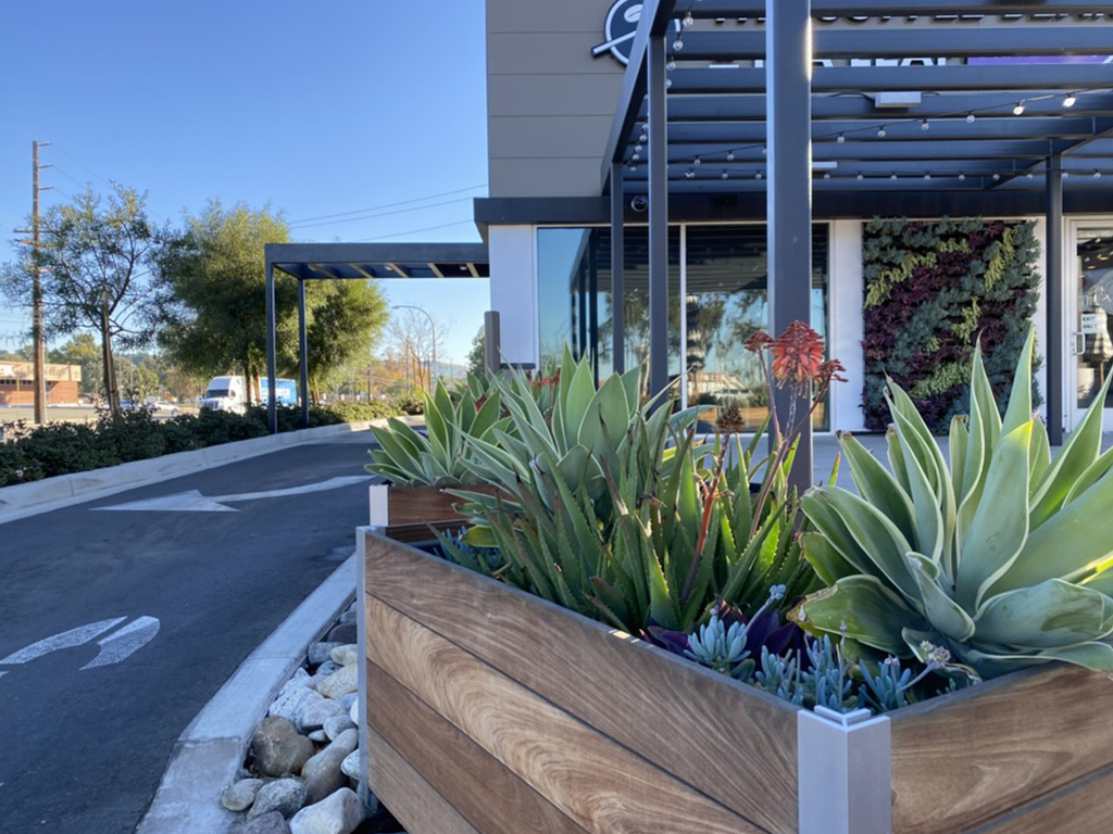 Architectural hospitality planter boxes at Coffee Bean and Tea Leaf