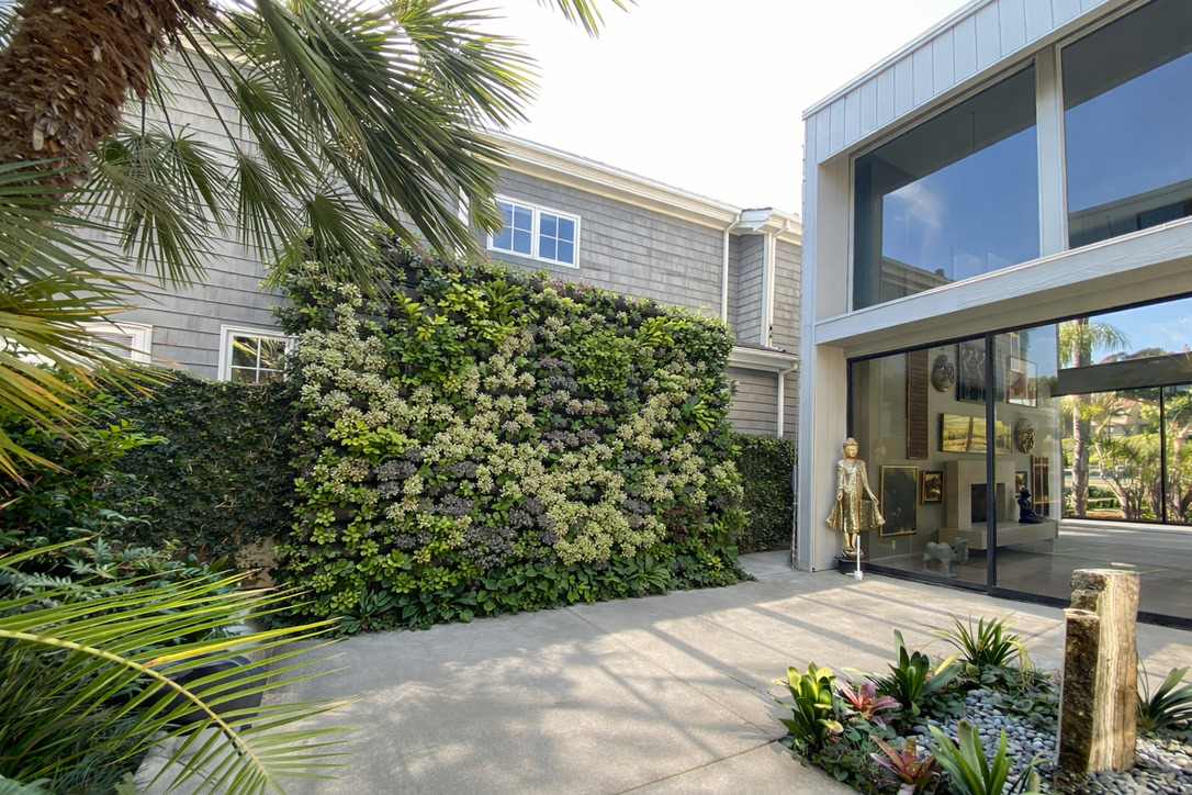 Harbor Island Newport Beach courtyard living wall and privacy structure by Elevation Living Walls
