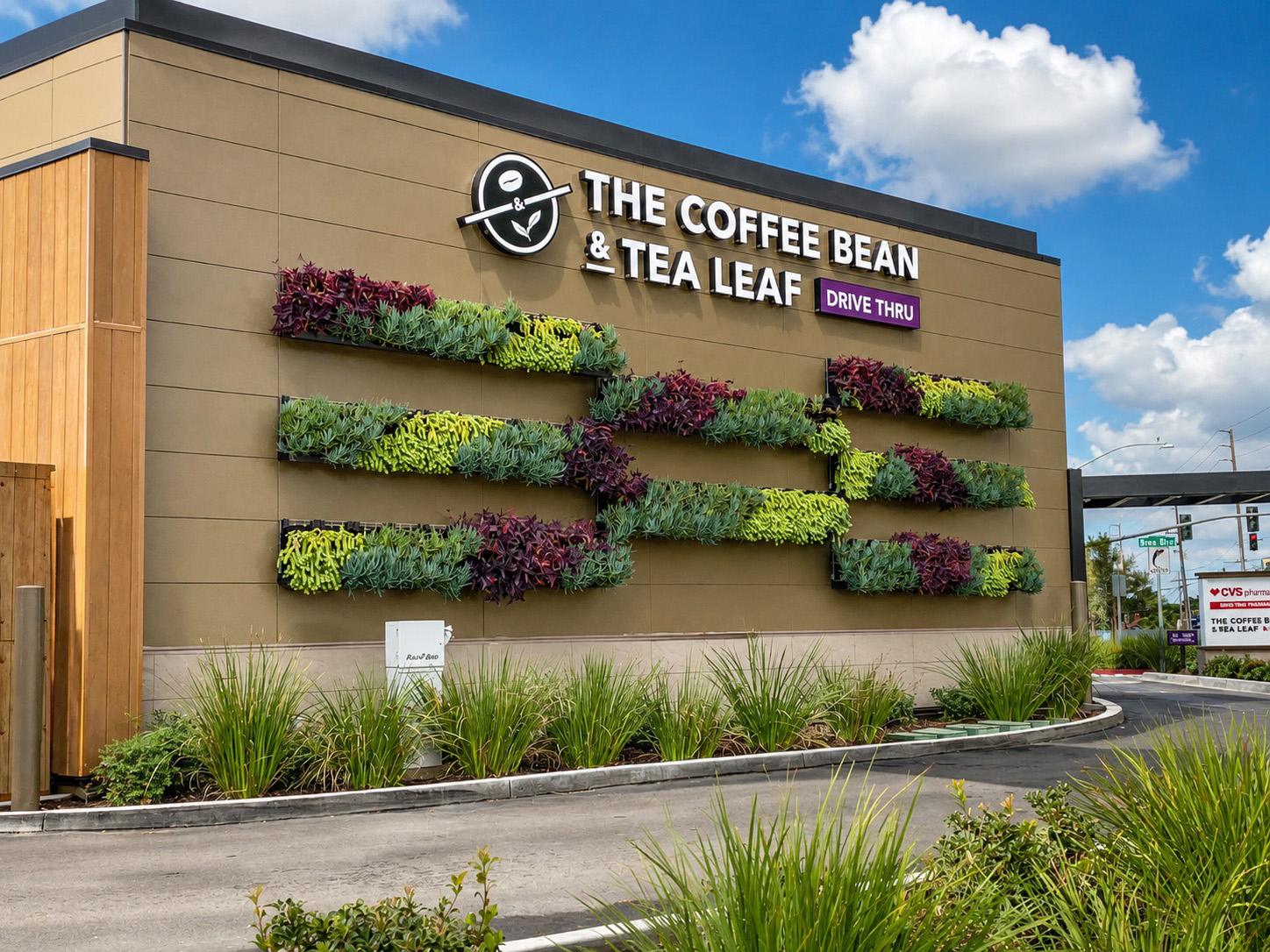 Coffee Bean and Tea Leaf exterior living wall