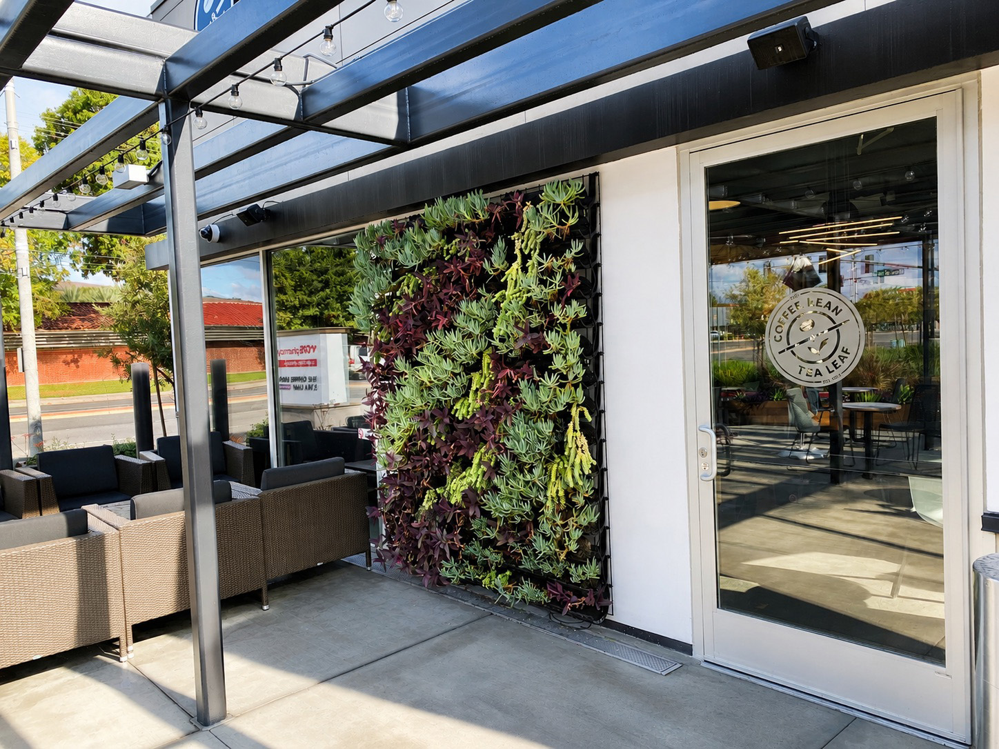 Outdoor living wall courtyard by Elevation Living Walls