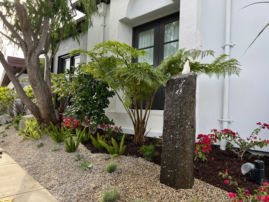 Living wall and landscape installation in Corona del Mar