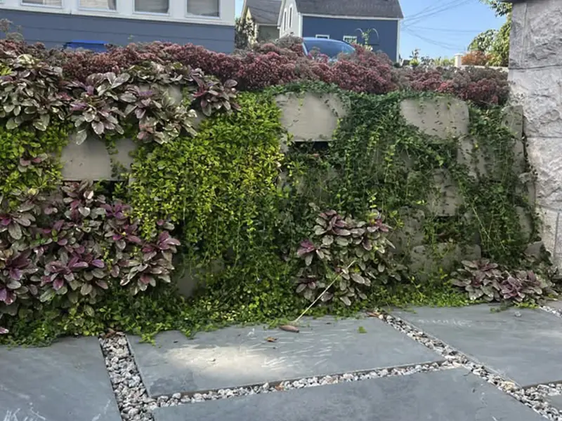 Plantable retaining wall by Elevation Living Walls