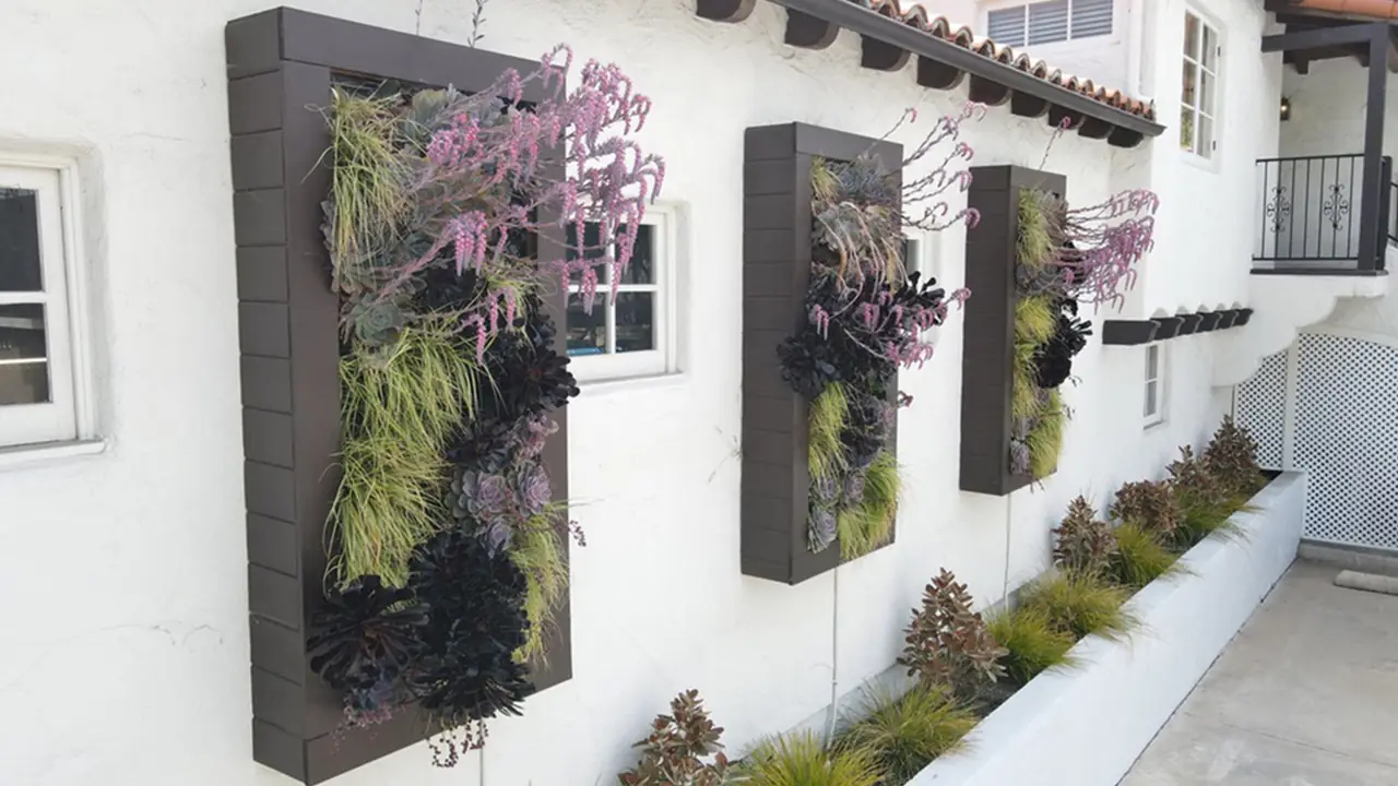 Three framed vertical gardens on a white Spanish-style exterior wall