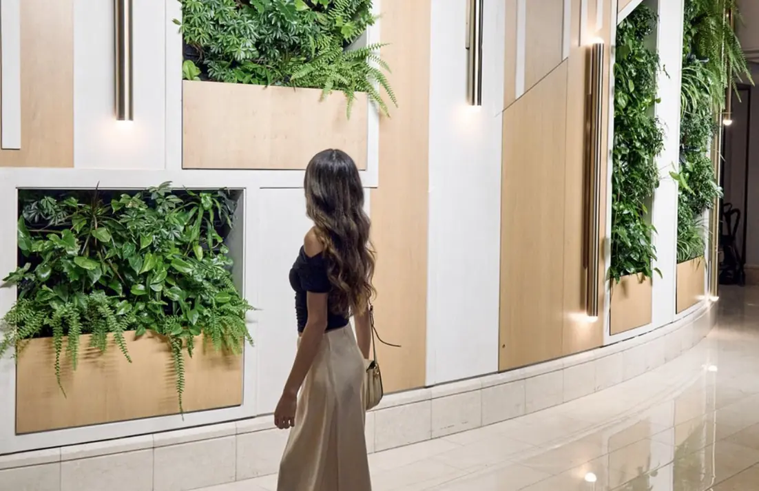 Hotel restaurant living wall by Elevation Living Walls