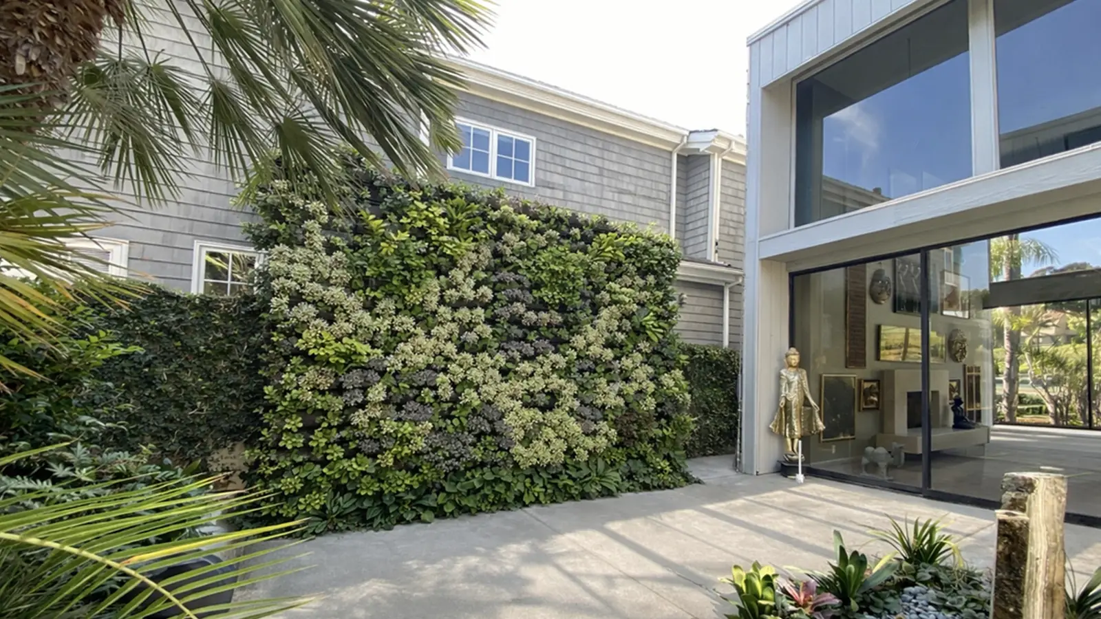 Vertical garden covering a residential exterior wall beside a modern glass entry