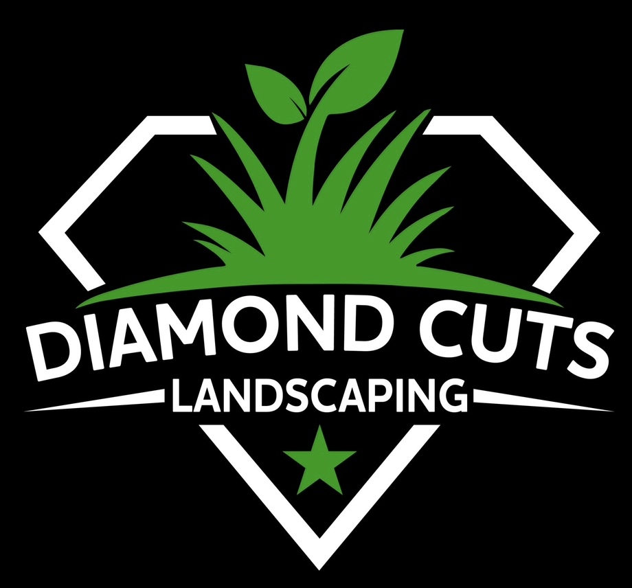 San Antonio Lawn Care Landscapng