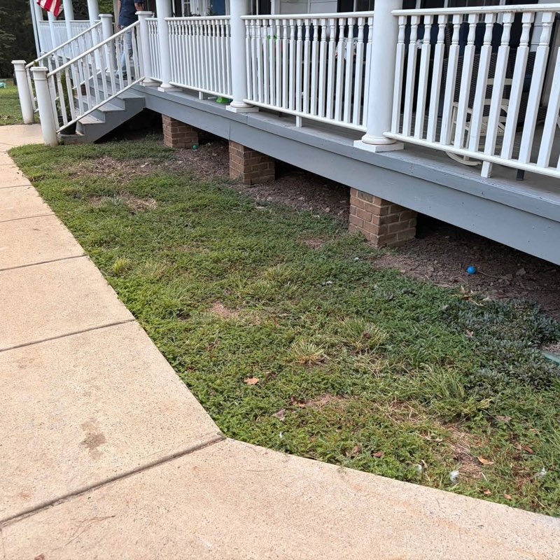 Before: grass growing right up against the porch