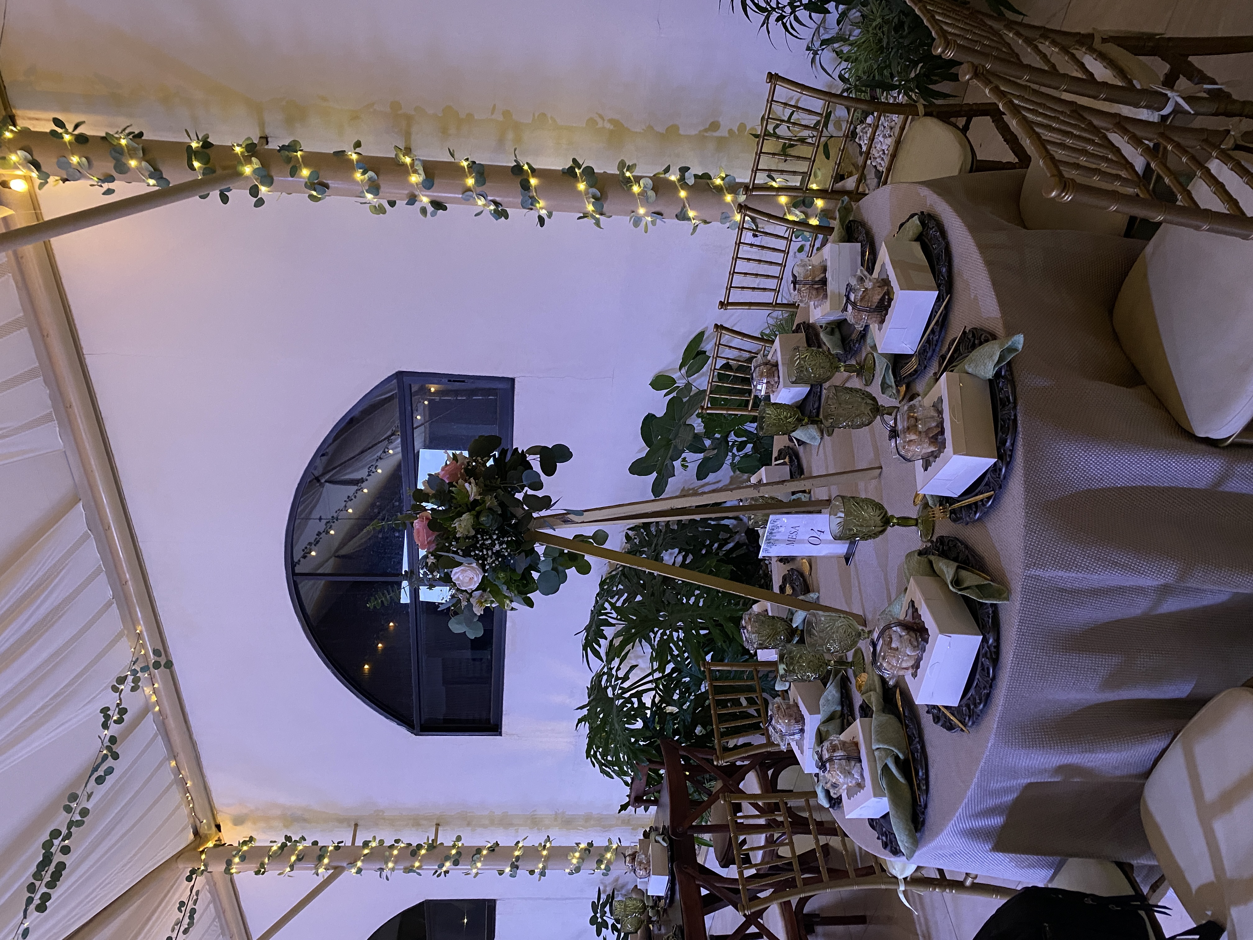Alpha Green Eventos