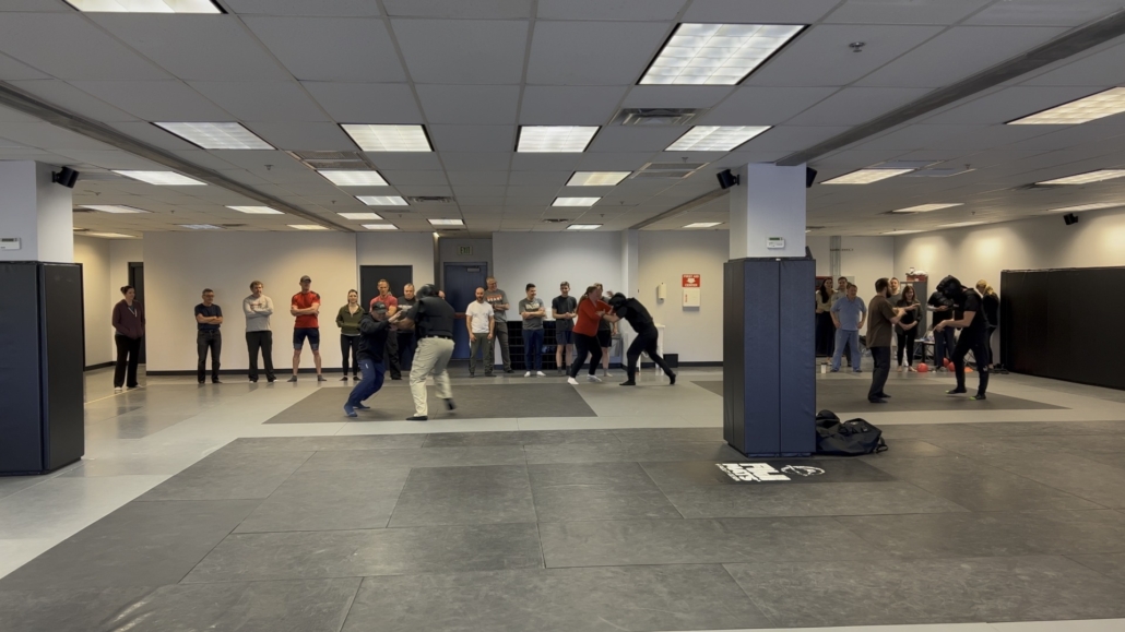 Self-defense Courses