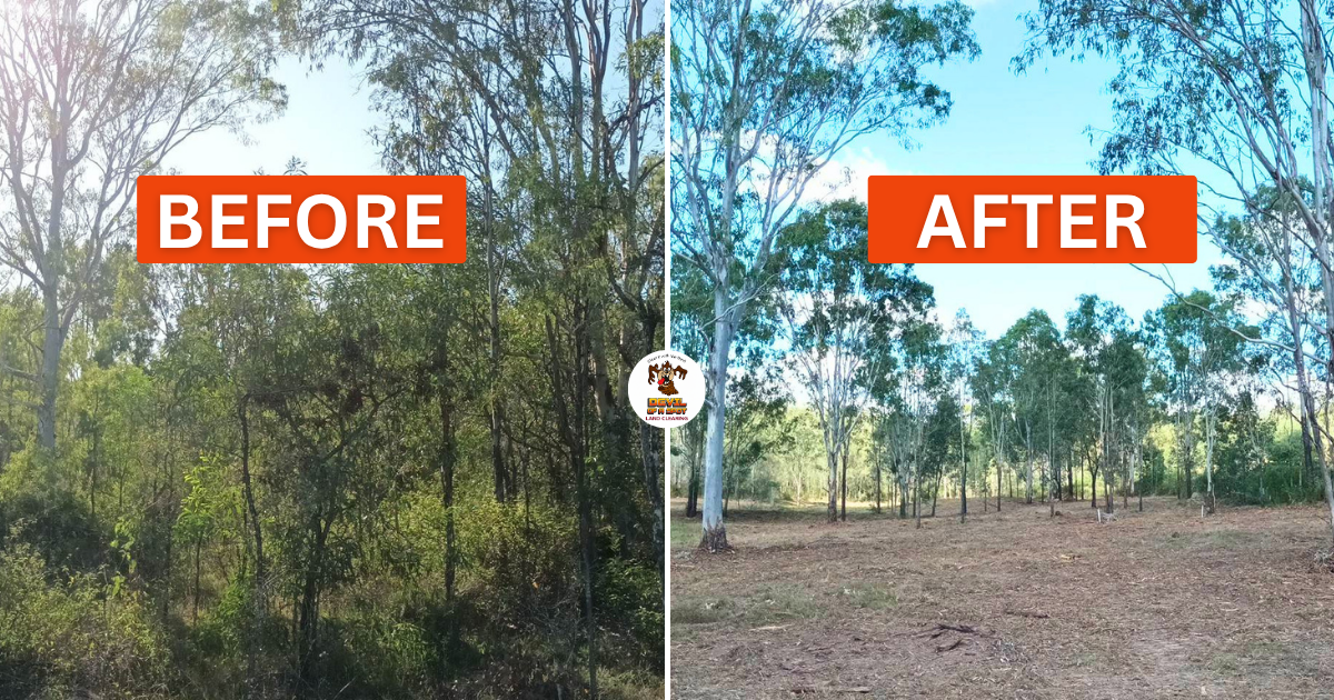 Before and after land clearing project