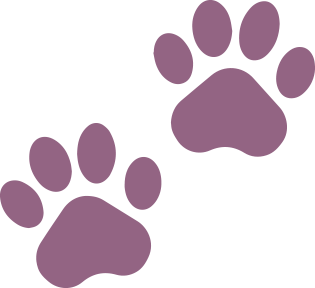 Animal Lover Icon