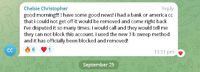 Client message from Chelsie Christopher about an account being removed