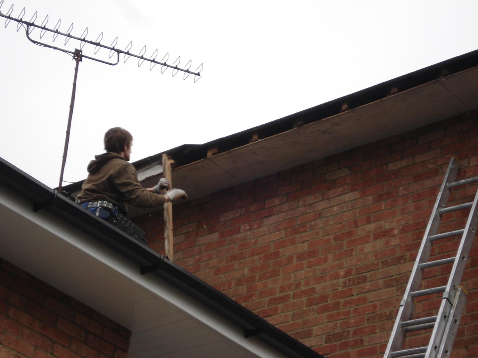 Fascias work - Shellis Roofing