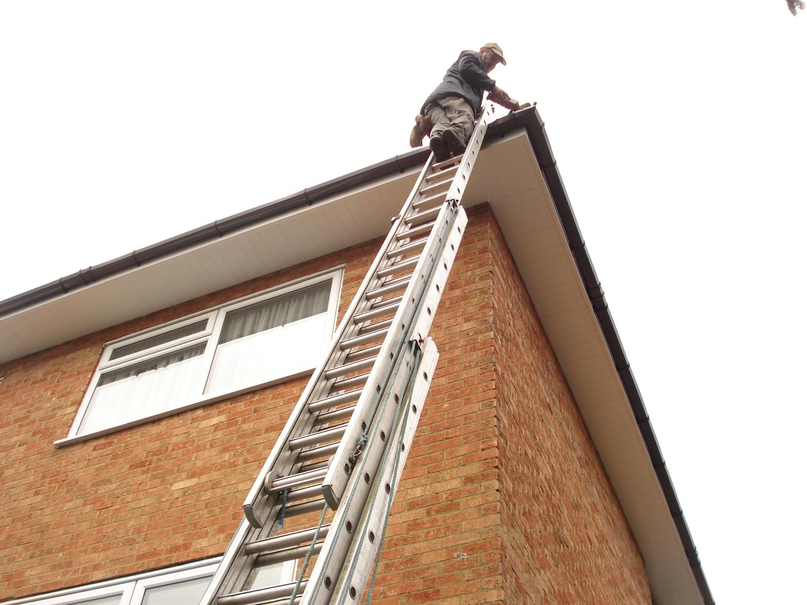 Fascias work - Shellis Roofing