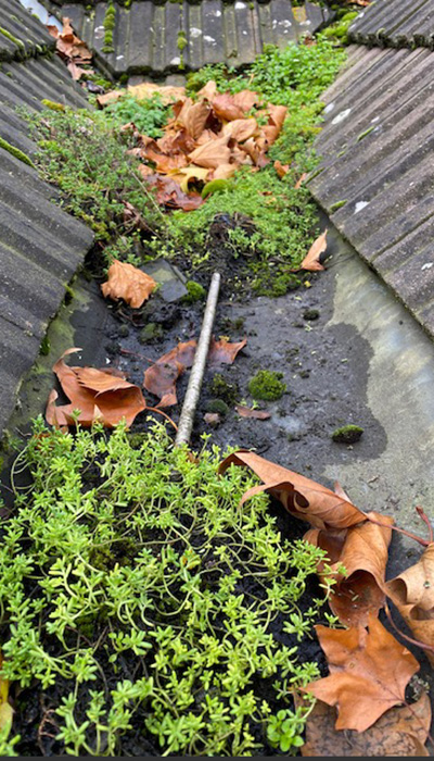 Guttering work - Shellis Roofing