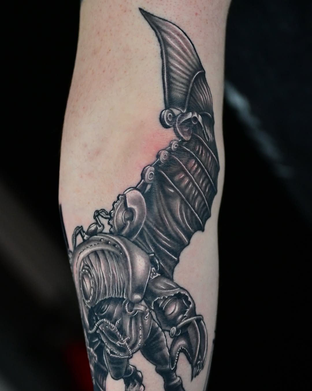Tattoo by Sean OHara - Image 2 Tattoo by Sean OHara - Image 2