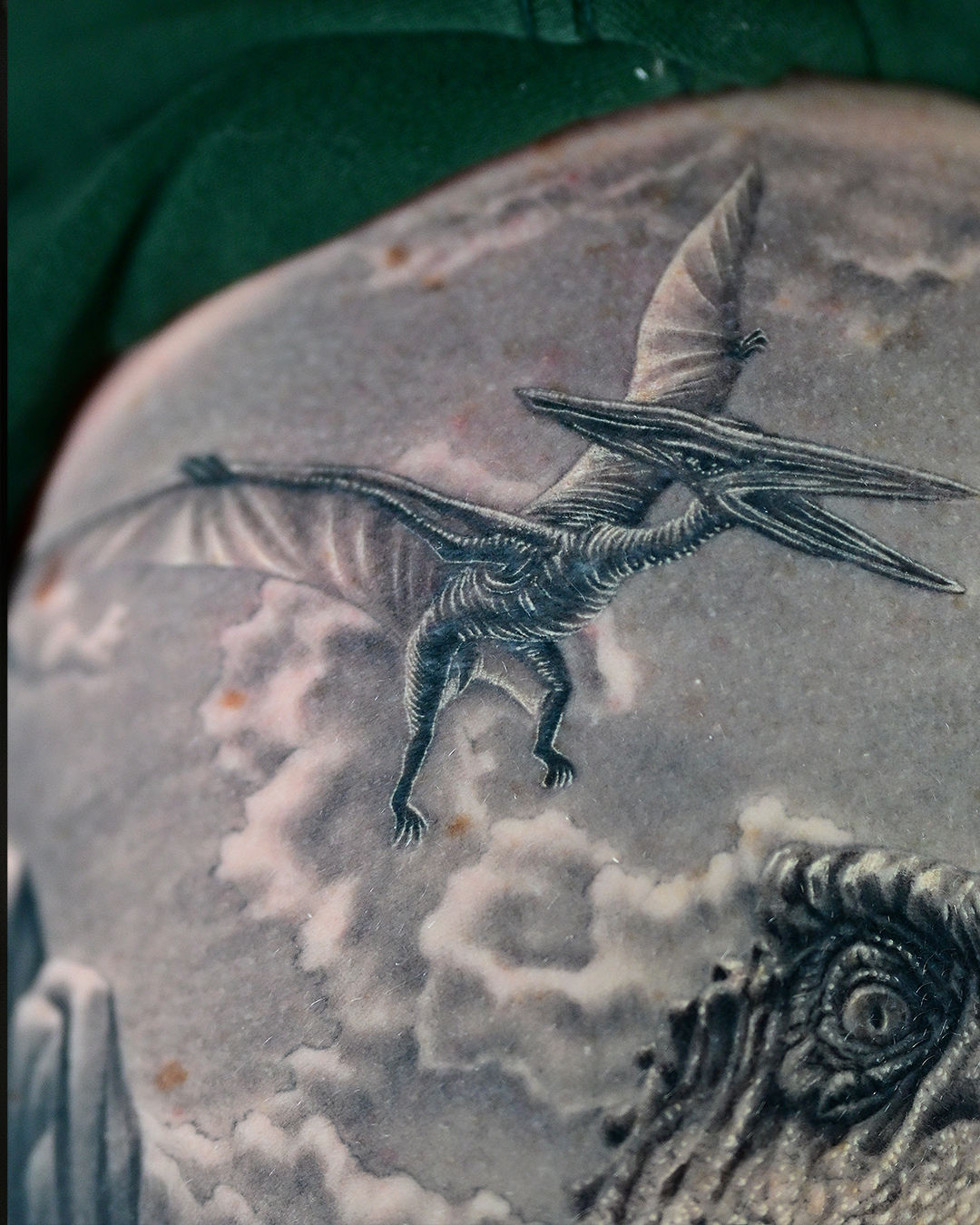 Dinosaur Sleeve