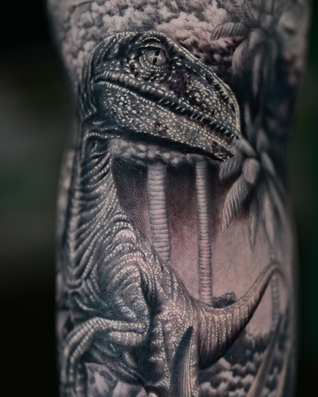 Dinosaur Sleeve
