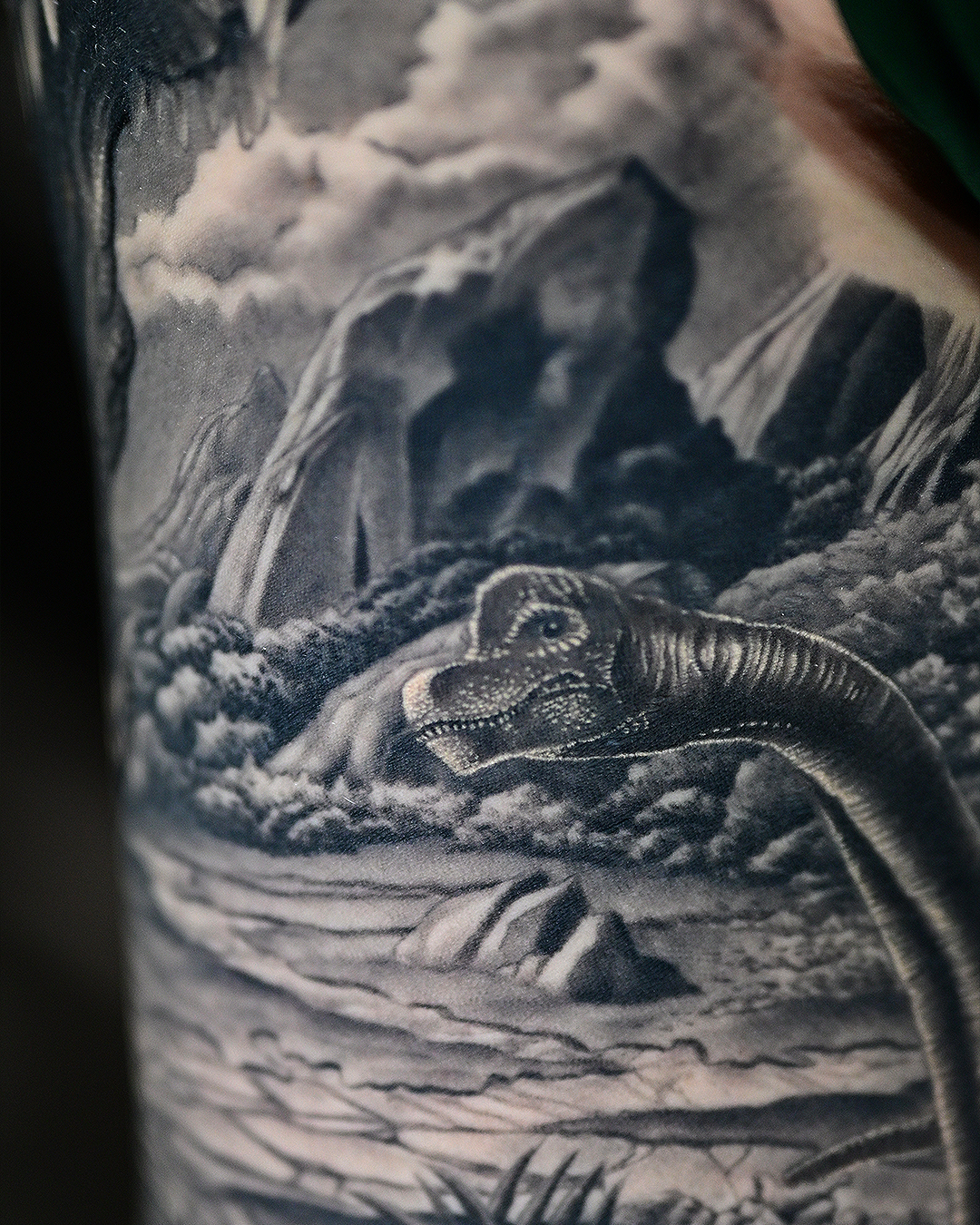 Dinosaur Sleeve