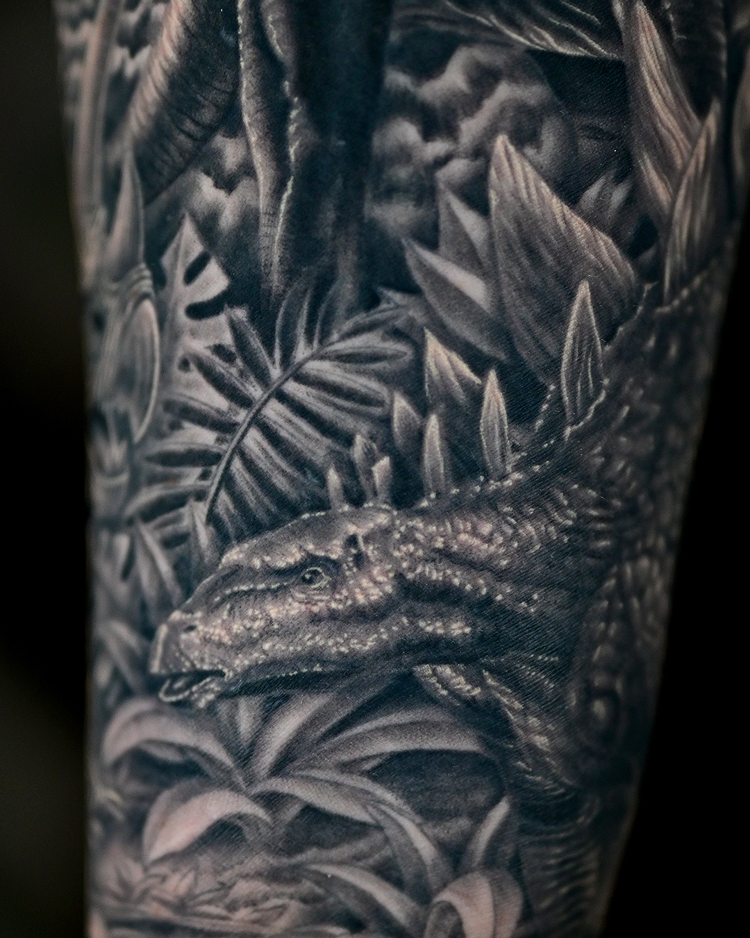 Dinosaur Sleeve