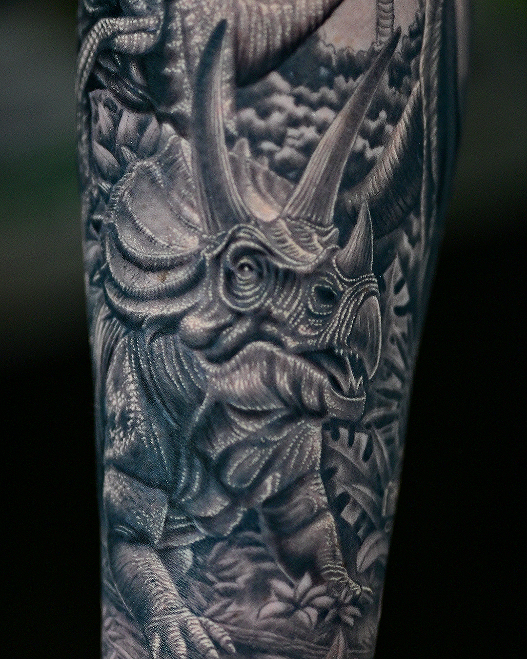 Dinosaur Sleeve