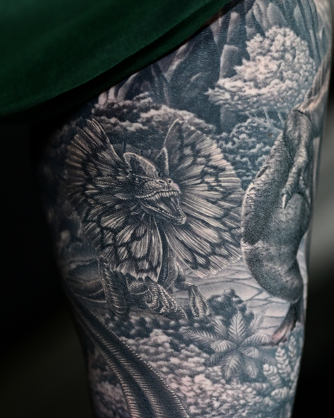 Dinosaur Sleeve