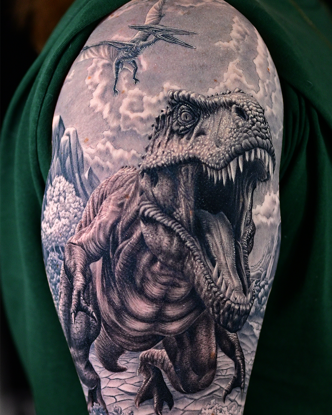 Dinosaur Sleeve