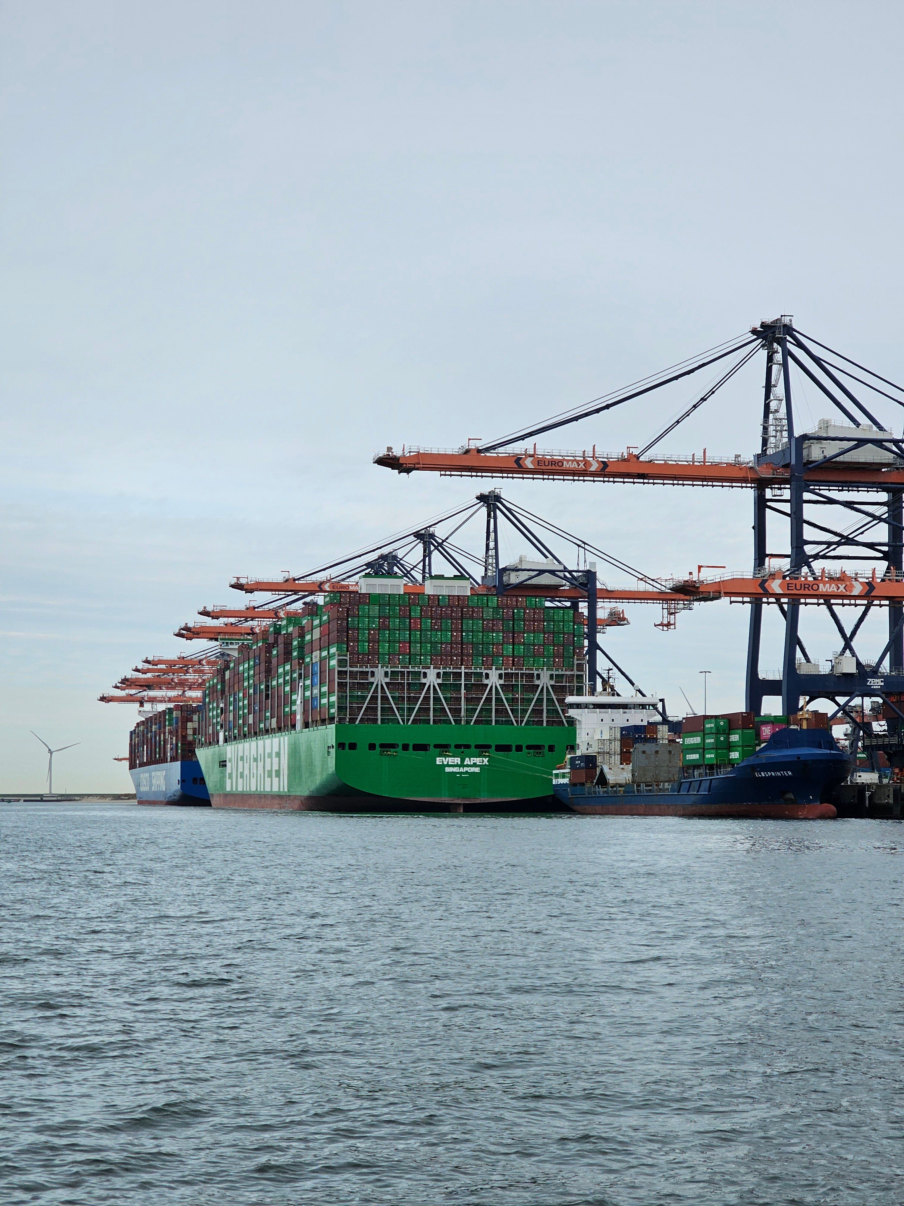 Container vessels berthed beneath gantry cranes