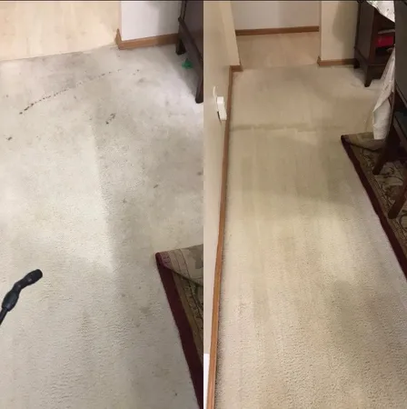 Carpet before and after cleaning side by side