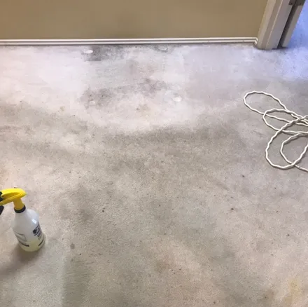 Carpet before cleaning, visible stains