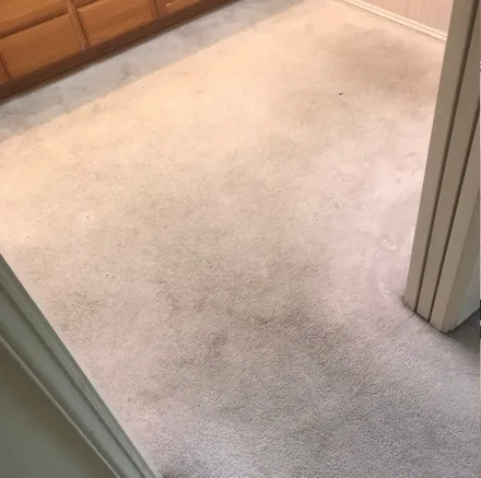 Hallway carpet cleaned