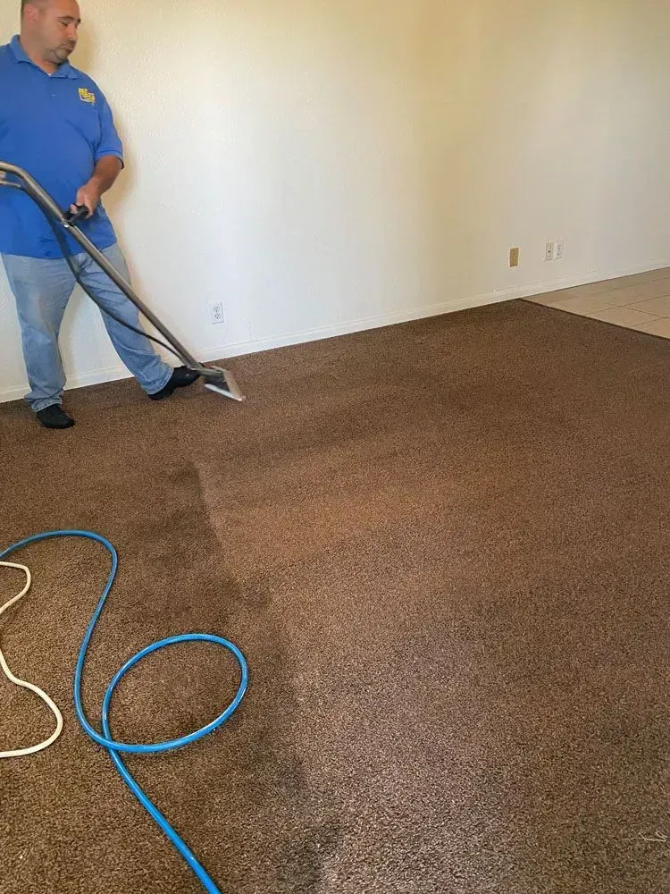 Professional technician deep cleaning and restoring residential carpet