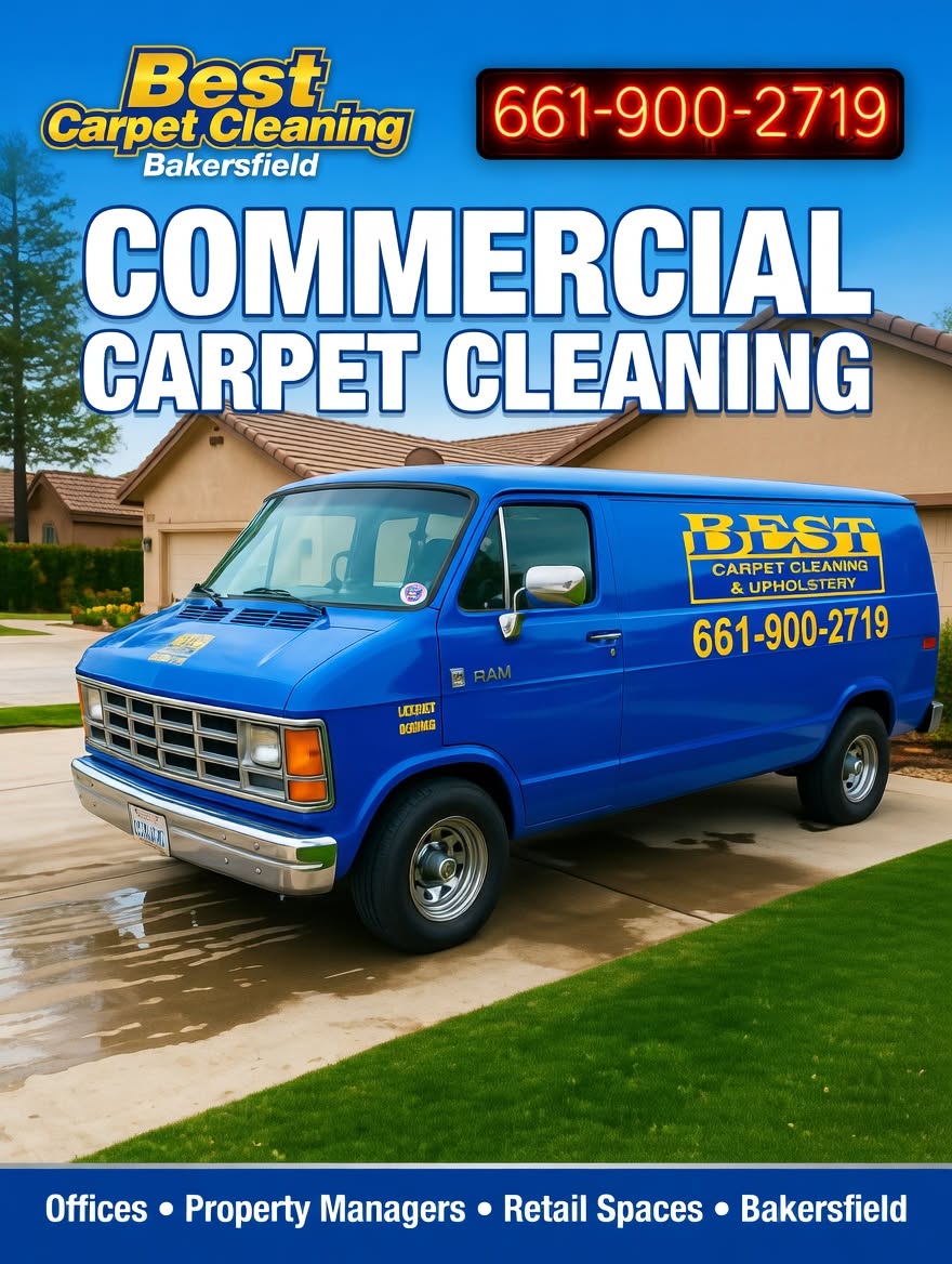 Professional mobile upholstery cleaner cleaning a sofa